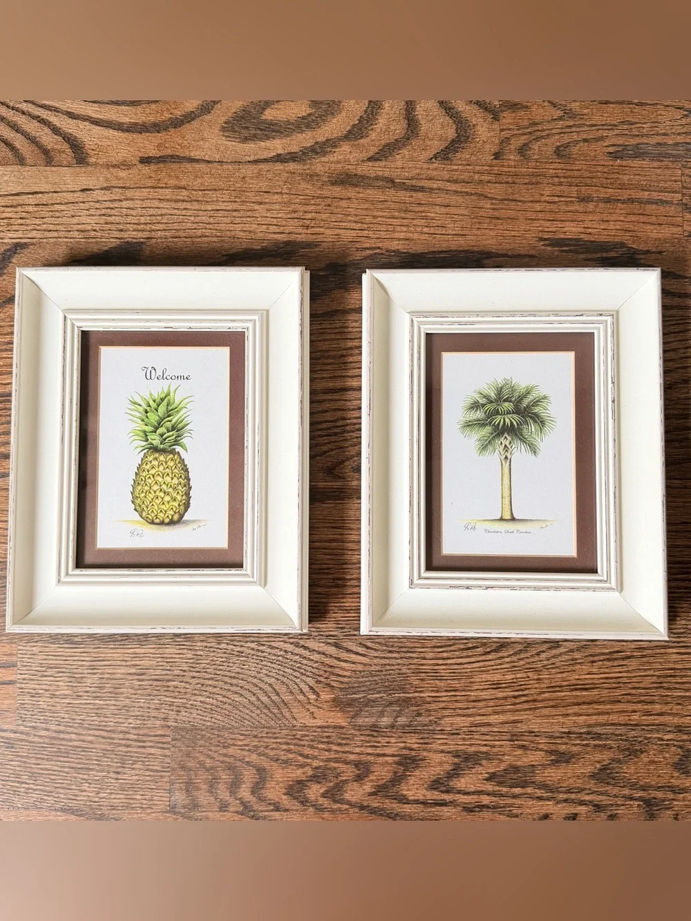 Charleston Pineapple Palm Wall Art Prints Signed George Roberts 2009 Coastal